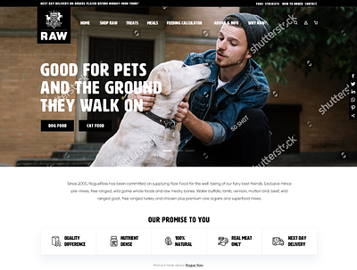 RogueRaw Pet Foods Website UI graphic design ui ux