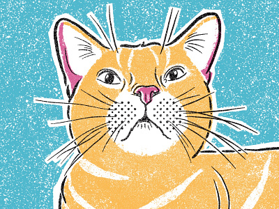 Cat Portrait cat cat illustration halftone illustration illustrator kitty procreate procreate art retro screen printing screenprint sketch texture