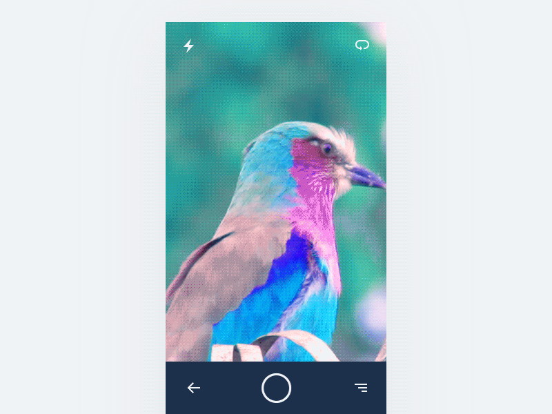 Realtime color scanner exploration animation app ar augmented camera mobile recognition scanning ui ux