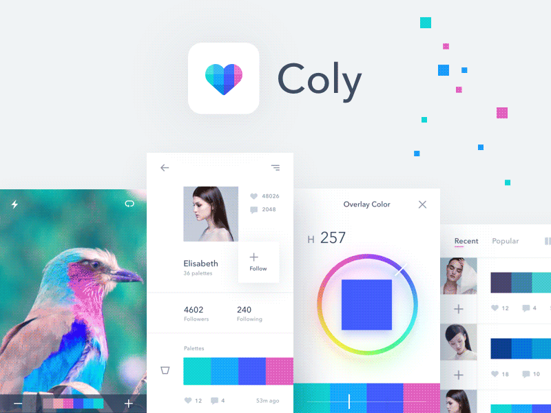 Coly app - case study animation app case study ios mobile motion palette screen ui ux