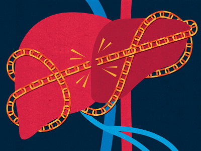 Breaking the Hepatitis C lifecycle anatomic anatomy conceptual disease editorial editorial art editorial illustration hc health hepatitis hepatitis c illustration illustrator liver textured treating virus