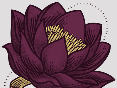 Lotus flower illustration lotus purple t shirt tee shirt