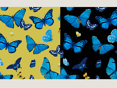 Vintage Butterfly Seamless Pattern Set