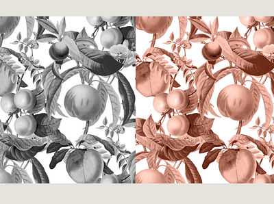 Vintage Peach Seamless Pattern Set branding design estampa fashion graphic design illustration pattern print repeat repeating