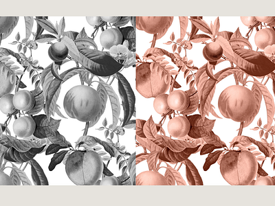 Vintage Peach Seamless Pattern Set