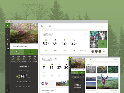 HuntForce Deer Profile deer hunting profile startup statistics ui design user interface ux