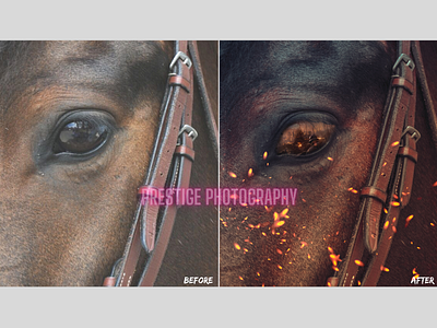 War Horse Photoshop Edit