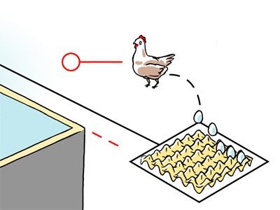 The hen animal printed illustration