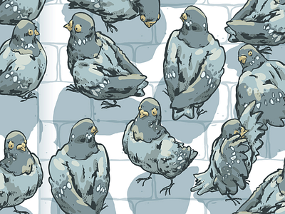 Pigeons cobblestone color drawing pigeon wing