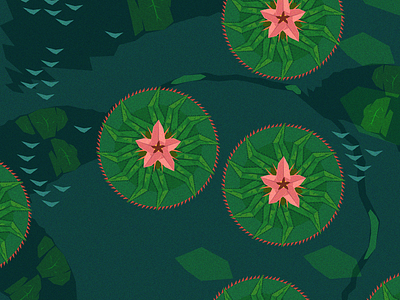 Waterlily vector water waterlily