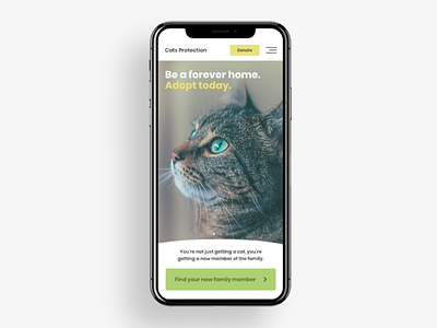Cats Protection CONCEPT cats cats protection challenge charity design homepage mobile ui ui challenge cat uiux ux