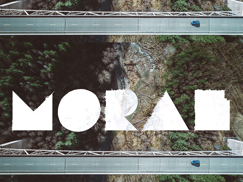Moral river forest white drone aerial displacement geometric type