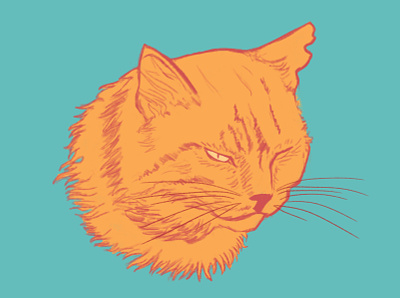 Cat illustration art branding cats design graphic design illustration ui web