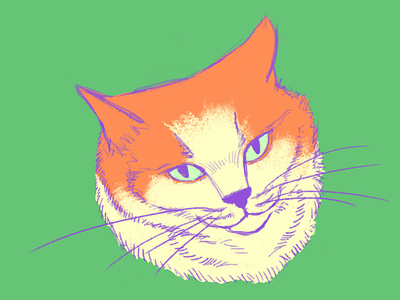 Cat illustration 2