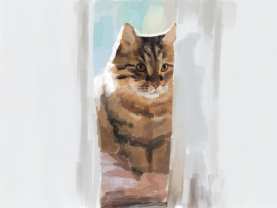 Catto autodesk sketchbook cat digital illustration digital painting illustration sketchbook sketchbookart
