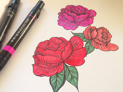 Roses by Hand drawing floral illustration markers roses