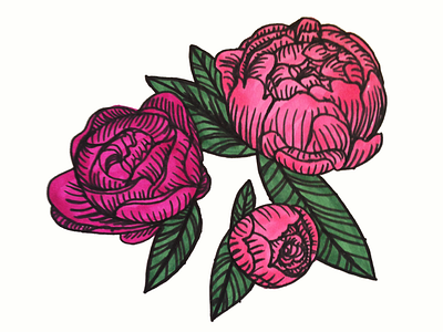 Hand-drawn Peonies drawing floral flowers hand drawn illustration markers peonies peony spring