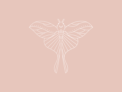 Moth adobe illustrator illustration lineart minimal moon moth pink vector