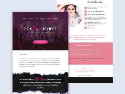 Newsletter for Box choice email email campaign email templates newsletter template design typography ui