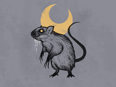 Rat design illustration procreate rat
