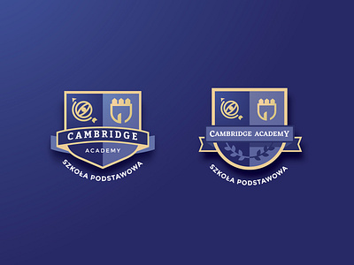 Cambridge Academy badge logo school