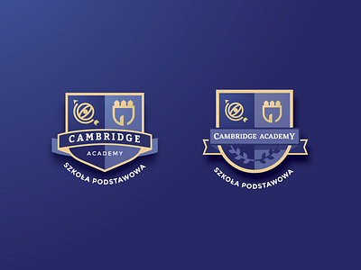 Cambridge Academy