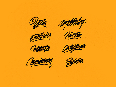 Calligraphy logos calligraphy design illustration letter lettering logo typography vector