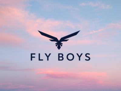 FlyBoys Logo Design boy brand identity branding creative flat fly logo design minimal unique wing wing logo