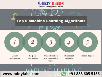 Machine learning solution assignment experts assignment help assignment writing services essay writing service illustration online assignment help thesis