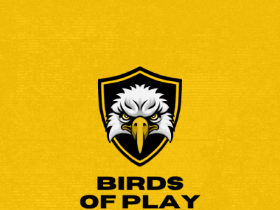 Birds Sym Logo 3d animation branding graphic design logo motion graphics ui