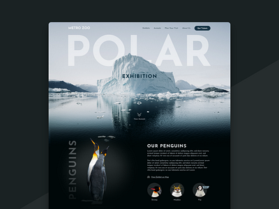 Zoo Website - Polar Exhibition design graphic design minimal ui web webdesign