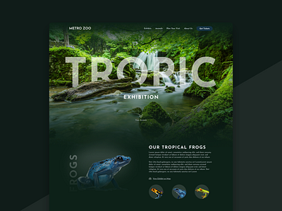 Zoo Website - Tropic Exhibition design graphic design minimal ui web webdesign
