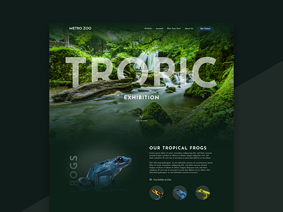 Zoo Website - Tropic Exhibition