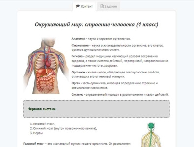 Строение человека (окружающий мир 4 класс)