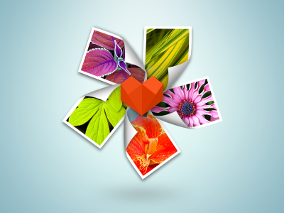 Mac icon for Photo+ color flower heart icon mac photo