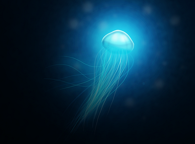 Jellyfish blue fluo illustraion jellyfish playoff