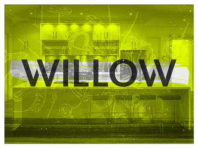 Willow Group branding gritty highlighter logo willow wordmark