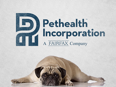 Pethealth Inc. branding company dog fairfax health incorporation logo pet pug