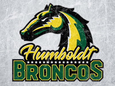 Humboldt Broncos broncos hockey horse humboldt logo stars