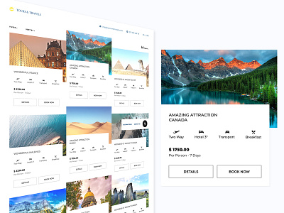 Tours and Travels concept design pitch typography ui ux web website