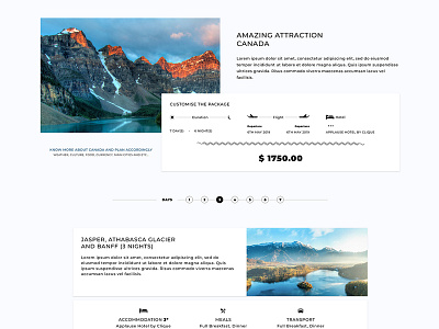 Detail page for tours and travels concept design pitch typography ui ux web website
