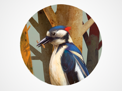 a woodpecker autumn bird drawing forest illustration texture wood woodpecker