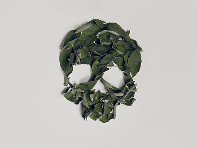 Free skull wallpaper art death desktop free free desktop free wallpaper green illustration leaves natural skull texture workshop