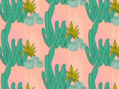 Cactus Patterm illustration pattern