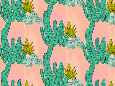 Cactus Patterm