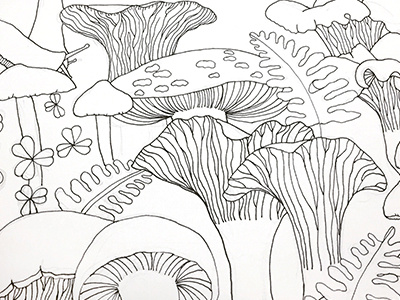 Mushrooms coloring book illustration mushrooms pnw