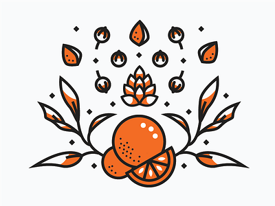 Leftover Ingredients Concept buckwheat coriander hops illustration ingredients leaves orange vector