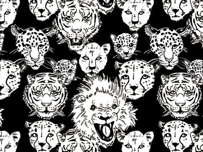 Wildcats apparel bw illustration leopards lions pattern tigers