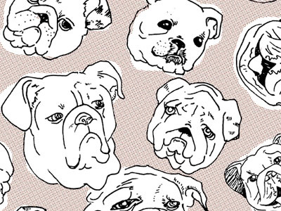 Pugs! illustration pattern pugs