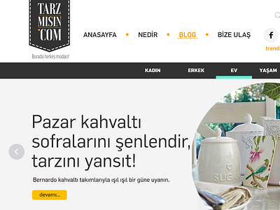 Tarzmisin.com Blog Design